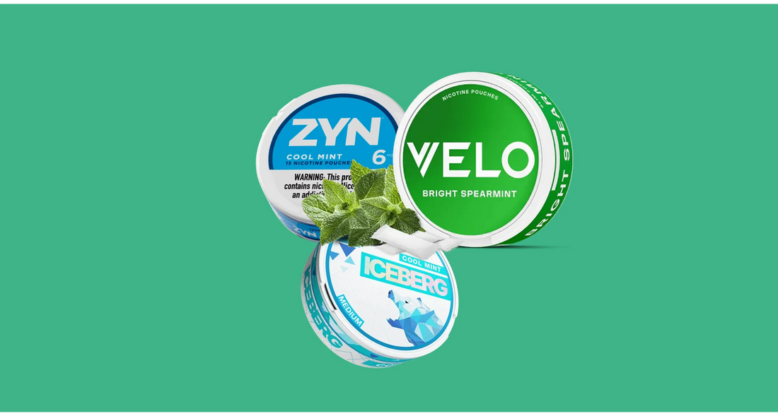 The Best Mint Nicotine Pouches in 2025: A Practical Buyer’s Guide (Not Hype)