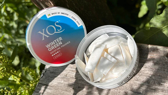 XQS Nicotine Pouches Review: Flavours, Strengths, and What to Expect