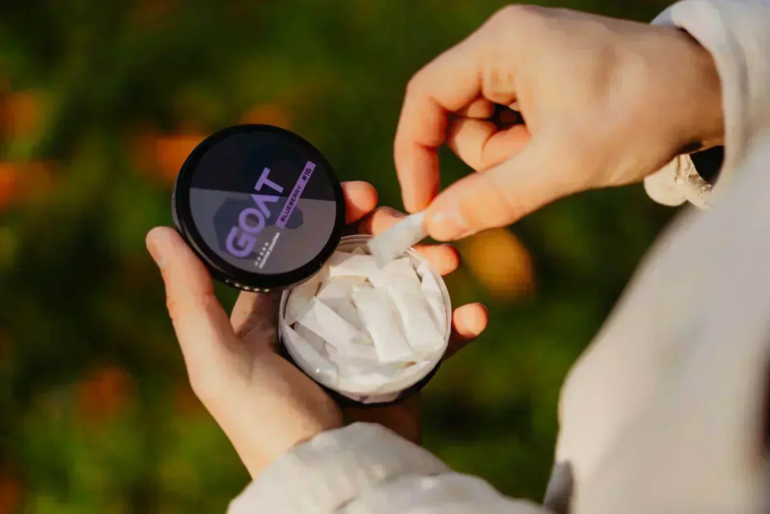 Beginners guide to Nicotine Pouches