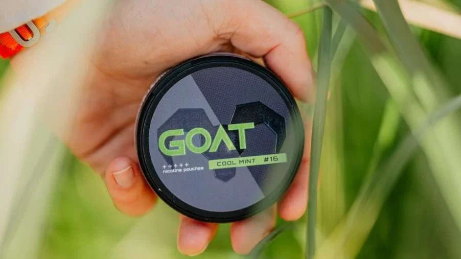 GOAT Nicotine Pouches Review: What to Know Before You Try Them