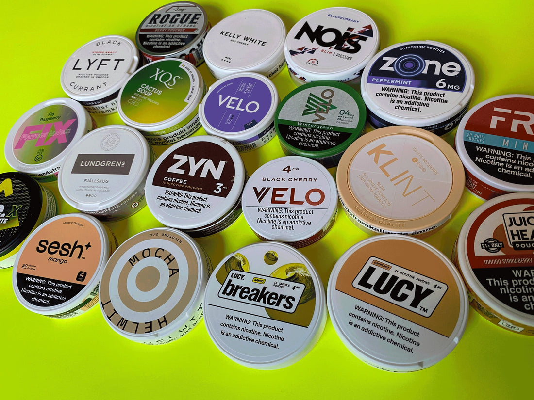 Nicotine Pouch Flavour Trends for 2026: What’s Next and How to Choose