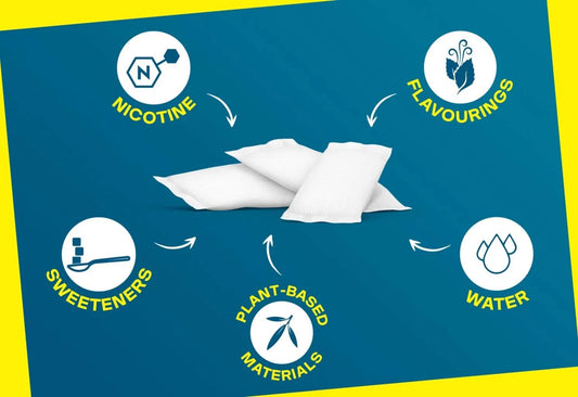 Nicotine Pouch Ingredients: What’s Inside?