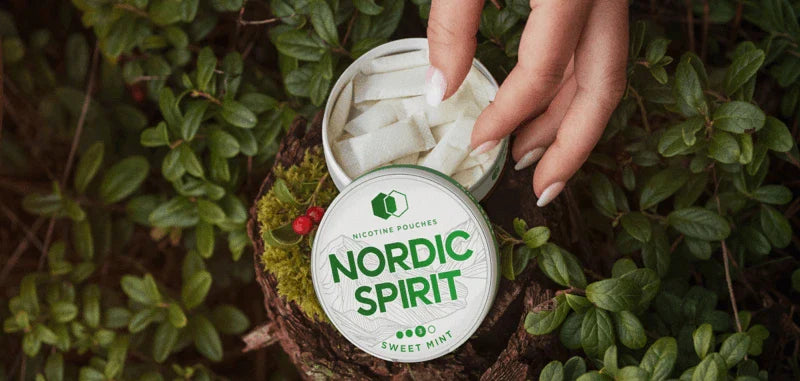 Nordic Spirit Nicotine Pouches Review : Strengths, Flavours, Fit, and Who It’s For