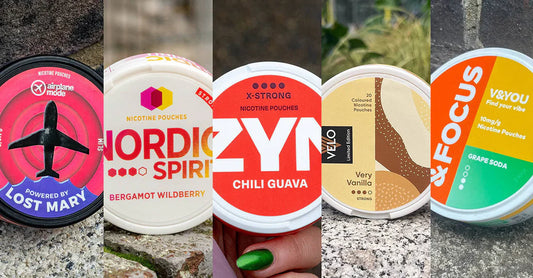 Top 10 Nicotine Pouch Flavours for 2026