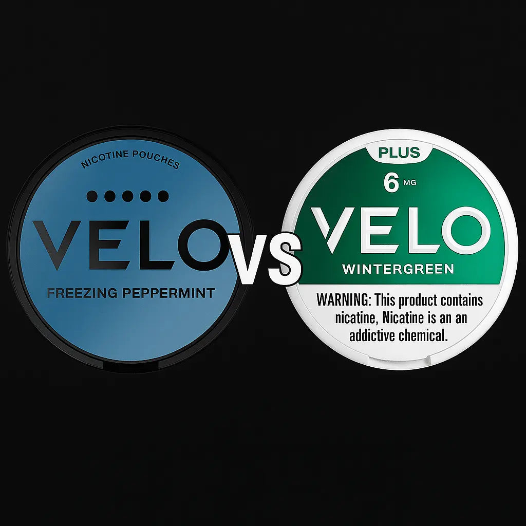 VELO vs VELO Plus: What’s the Real Difference?