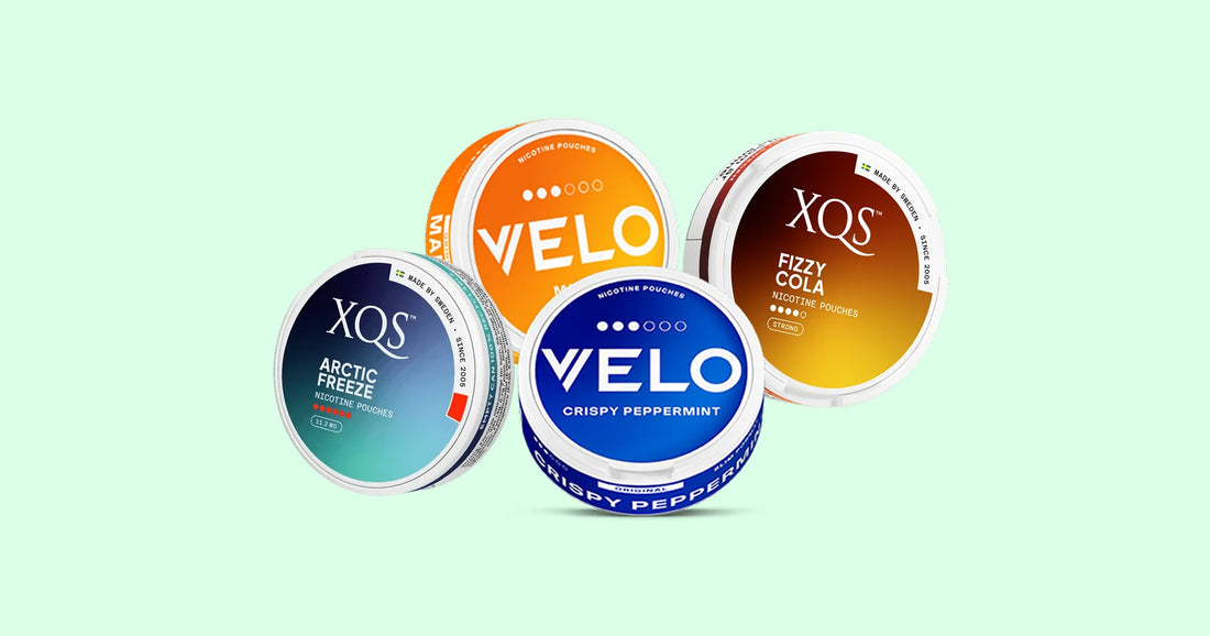 XQS vs VELO Nicotine Pouches: Differences in Strength, Flavour, and Fit (Buyer’s Guide)